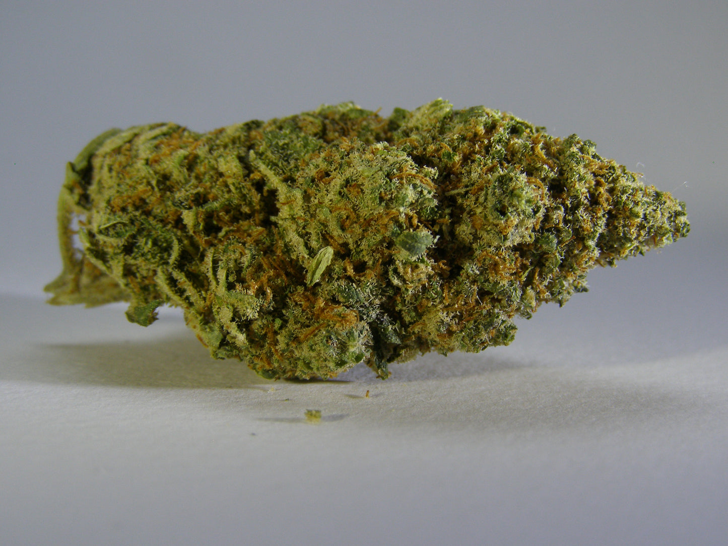 Bruce Banner