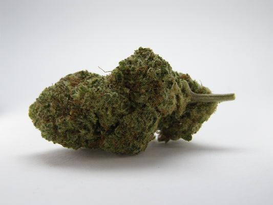 Gros plan sur Bubble Gum CBD au profil bonbon sucré et crémeux