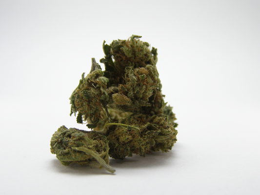 Gros plan sur les fleurs Small Buds HQCT Greenhouse FR – petits buds bien manucurés