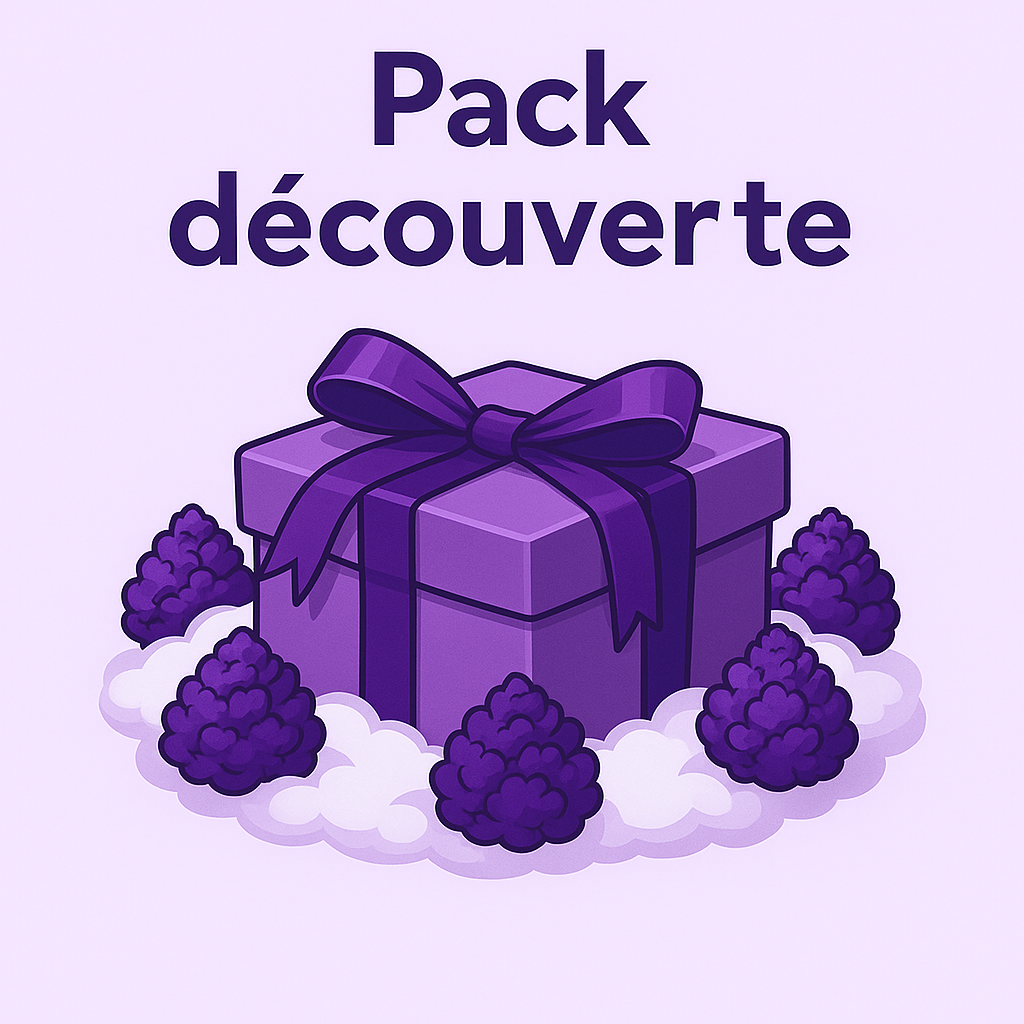 Pack Découverte