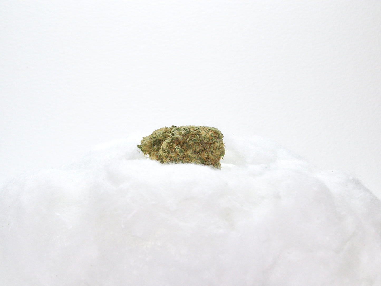 M.A.C (LAC) – Miracle Alien Cookies