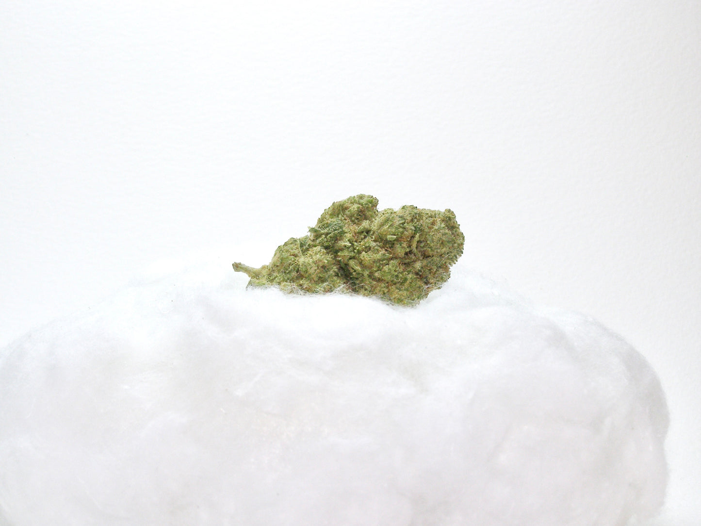 Snow OG