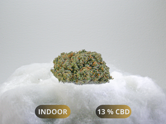 Fleurs Kosher Kush CBD Indoor Hydroponie – buds denses au profil kush