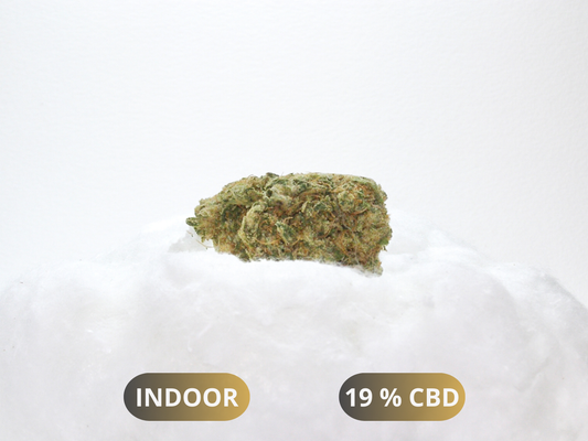 Fleurs M.A.C LAC CBD Indoor Hydroponie – buds denses compactes manucure premium