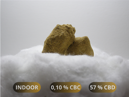 Moonrock CBD 57 % – fleur indoor enrobée d’extrait et de pollen, présentation Cloud Store