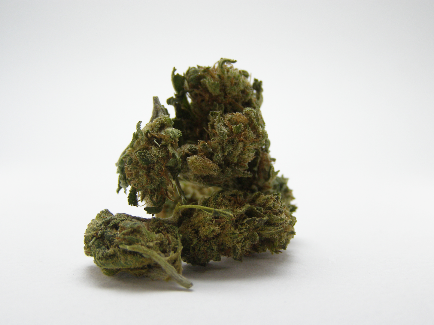 Gros plan sur les fleurs Small Buds HQCT Greenhouse FR – petits buds bien manucurés