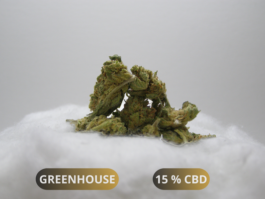 Small Buds HQCT CBD cultivés en serre française – buds denses pin/boisé